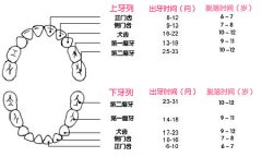 乳牙滞留要不要拔除?