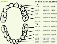 儿童换牙六大方面需注意