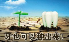 后大牙种植容易掉吗