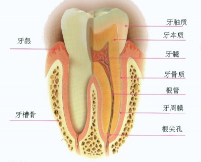 江阴慢性牙髓炎怎么办？