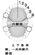 小孩子必须在六岁以后才能做窝沟封闭吗？