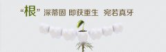 <b>第二届德国种牙节-种植牙周末抄底价</b>