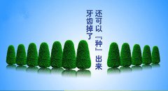 单颗种植牙的价格