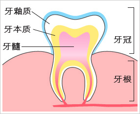 牙髓炎