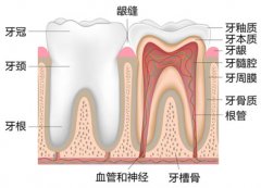 怎么判断我是不是得了牙髓炎?